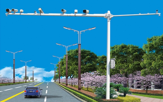 Surveillance poles