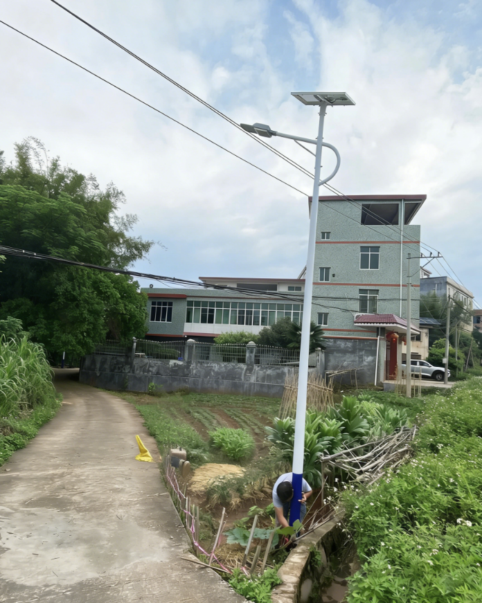 90 后姑娘情系桑梓，120 盏太阳能路灯点亮广西梧州乡村振兴路