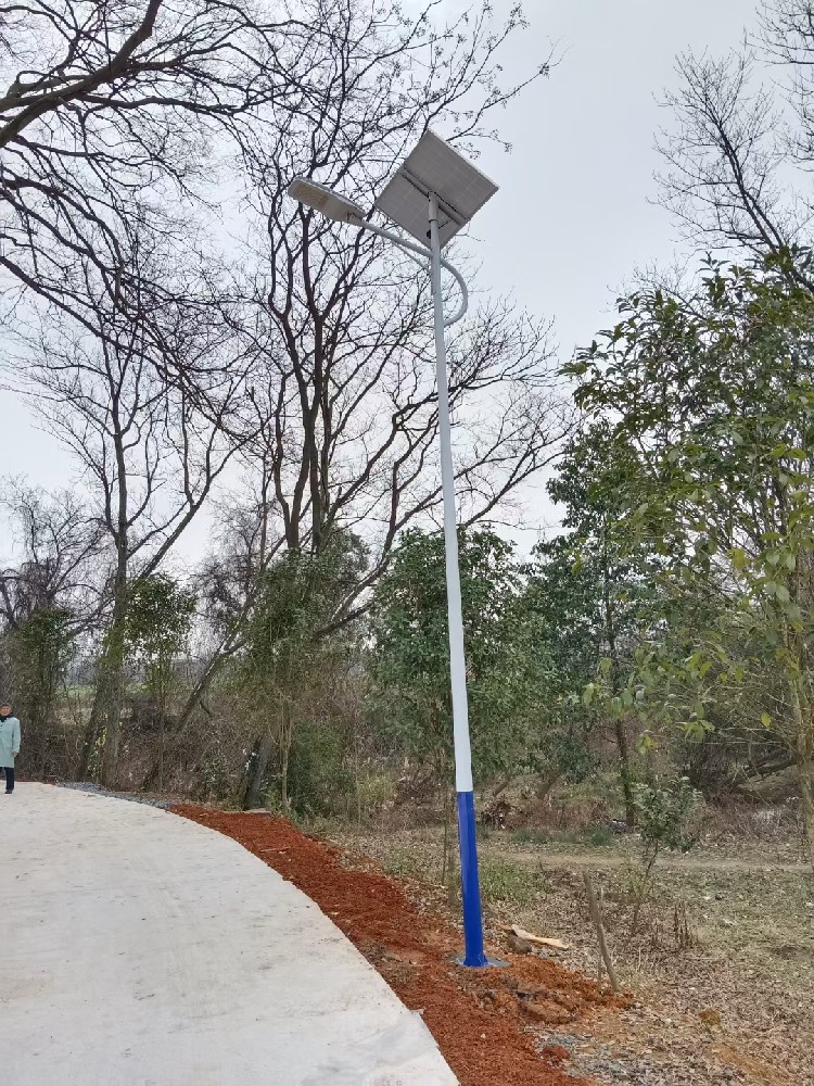 Lighting Up the Night Roads of Rural Longyan: 6-Meter Solar Streetlights Illuminate a New Vision for Rural Revitalization