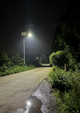 点亮甬城乡村：太阳能路灯照亮共富新图景
