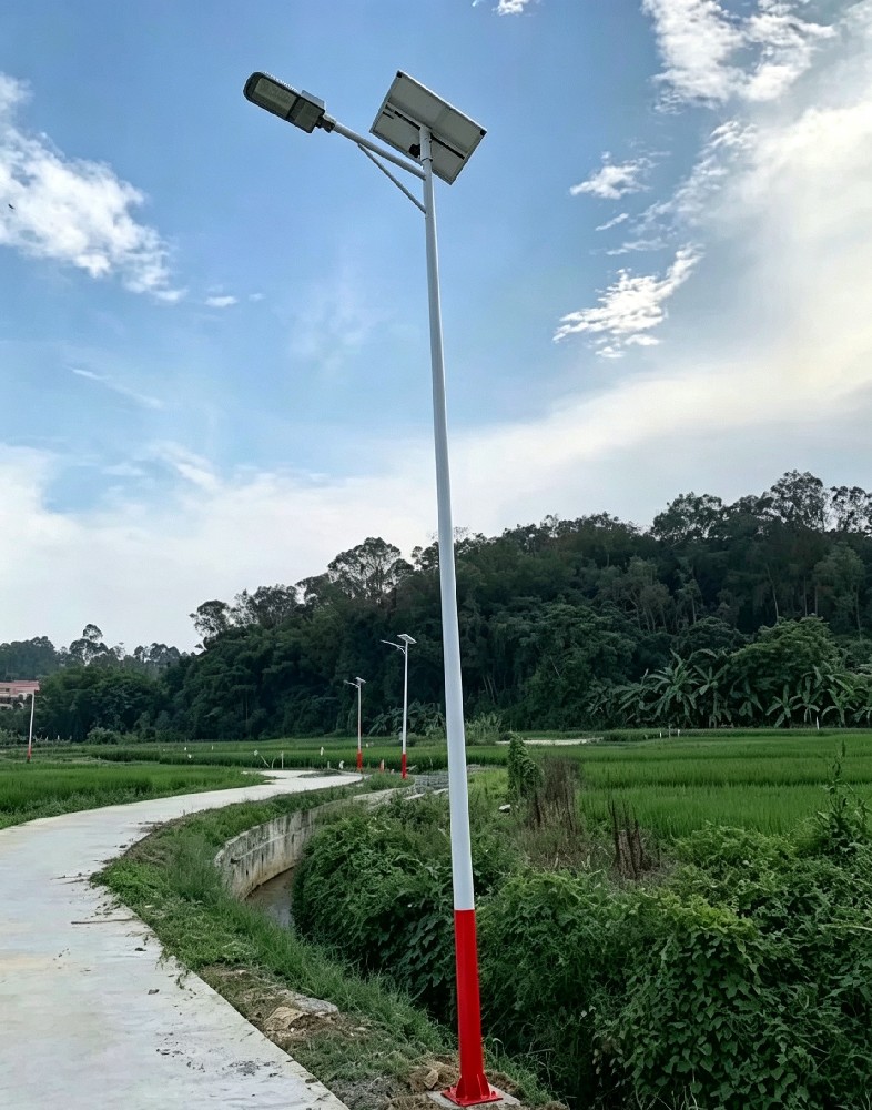 红杆映乡野，灯火暖民心|永州新田 120 盏太阳能路灯点亮和美乡村新图景